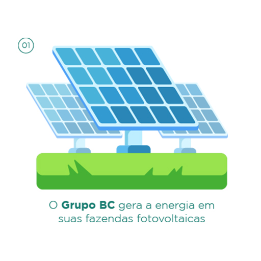 O Grupo BC gera a energia em suas fazendas fotovoltaicas